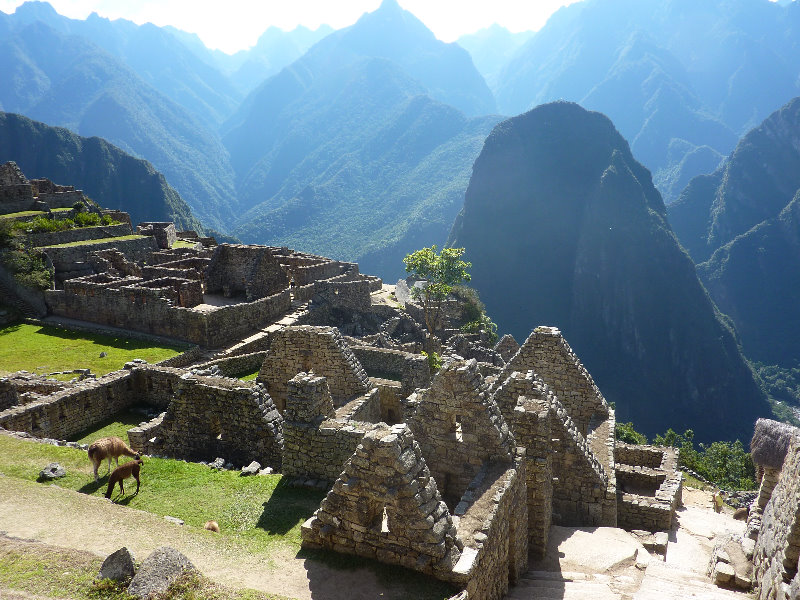 Machu-Picchu-Inca-Trail-Peru-South-America-078