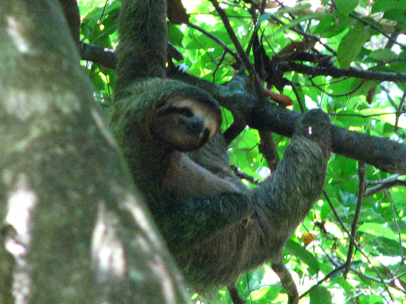 Manuel-Antonio-National-Park-Costa-Rica-072