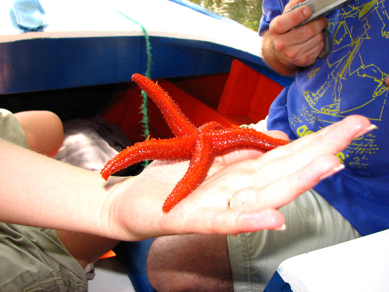 La-Restinga-Lagoon-Red-Starfish