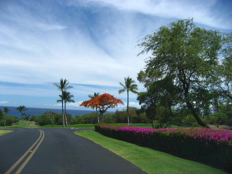 Mauna-Kea-Beach-Snorkeling-Kohala-Coast-Big-Island-Hawaii-004