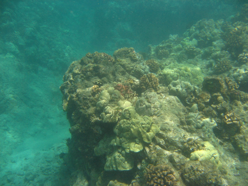 Mauna-Kea-Beach-Snorkeling-Kohala-Coast-Big-Island-Hawaii-105