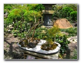 Morikami-Museum-Japanese-Gardens-Delray-Beach-FL-235