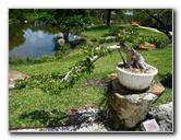 Morikami-Museum-Japanese-Gardens-Delray-Beach-FL-239