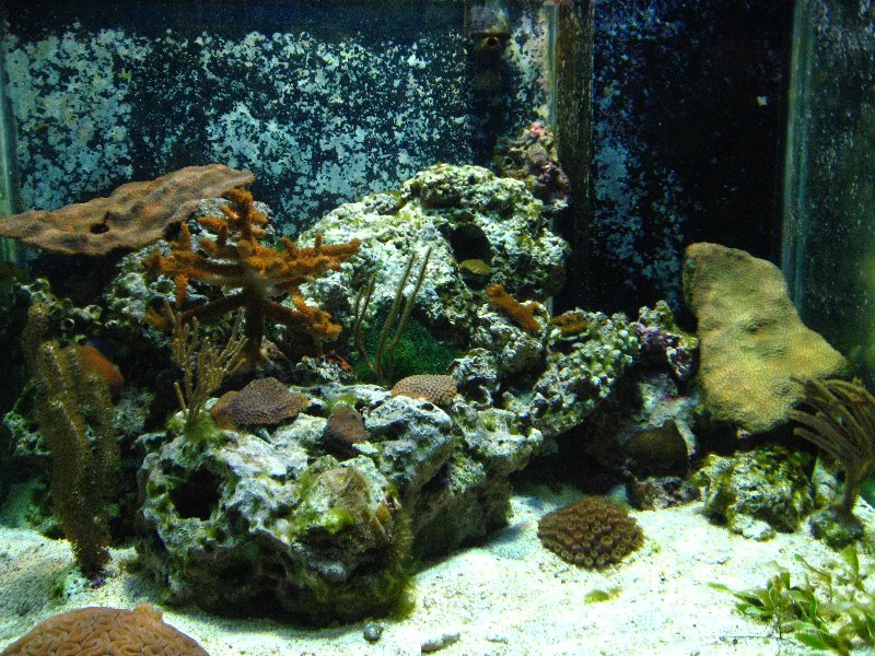 Mote-Marine-Aquarium-Sarasota-FL-023