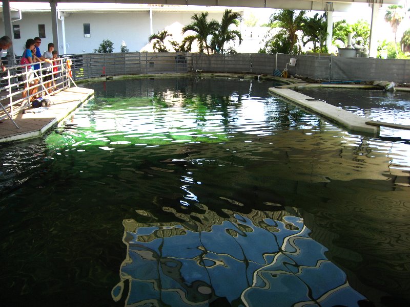 Mote-Marine-Aquarium-Sarasota-FL-060