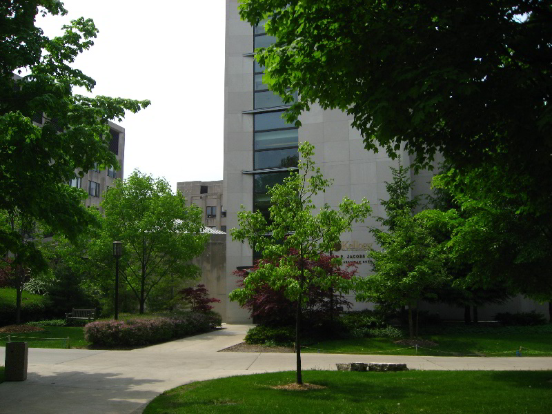 Northwestern-University-Evanston-Campus-Tour-0034
