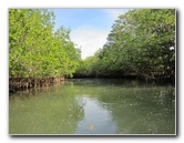 Oleta-River-State-Park-Blue-Moon-Kayaking-North-Miami-Beach-FL-001
