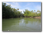 Oleta-River-State-Park-Blue-Moon-Kayaking-North-Miami-Beach-FL-005