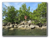 Oleta-River-State-Park-Blue-Moon-Kayaking-North-Miami-Beach-FL-008