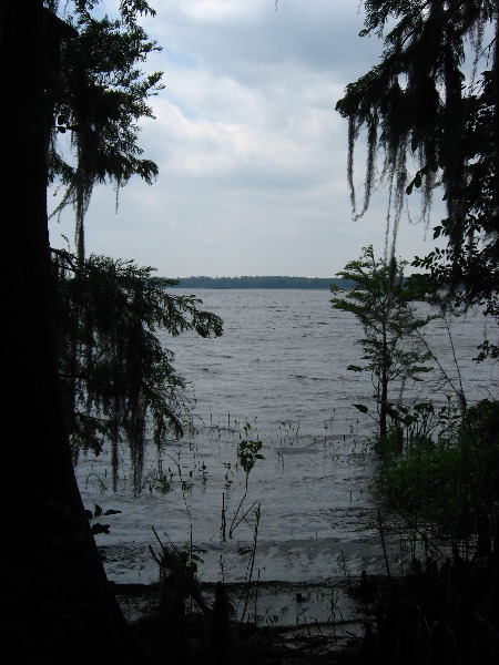 Palm-Point-Nature-Park-Newnans-Lake-Gainesville-FL-012