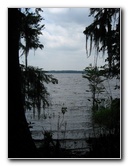 Palm-Point-Nature-Park-Newnans-Lake-Gainesville-FL-012