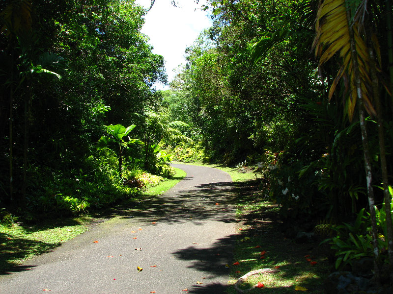 Panaewa-Rainforest-Zoo-and-Gardens-Hilo-Big-Island-Hawaii-007