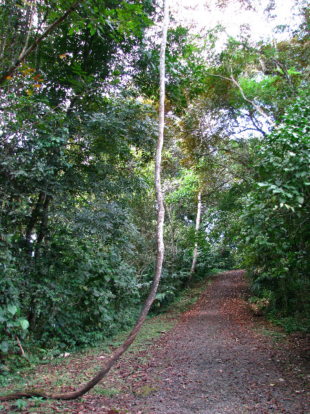 Parque-Natural-Metropolitano-Panama-City-116