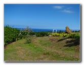 Pua-Mau-Place-Botanical-Garden-Kawaihae-Big-Island-Hawaii-049