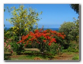 Pua-Mau-Place-Botanical-Garden-Kawaihae-Big-Island-Hawaii-062