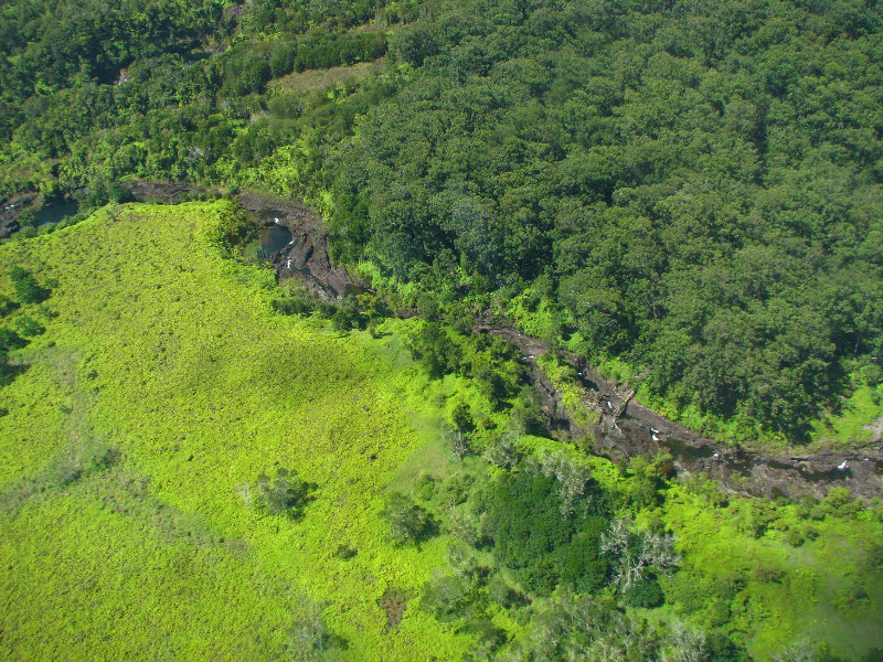 Safari-Helicopter-Tours-Volcanic-Lava-Waterfalls-Hilo-Big-Island-Hawaii-096