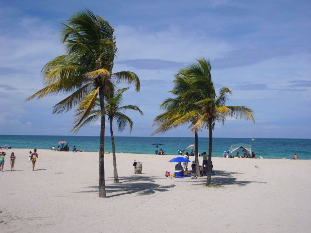 South Beach Fl. South-Beach-Pictures-Miami-