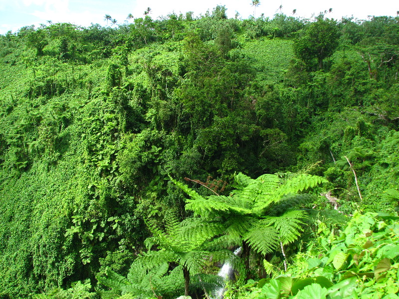 Tavoro-River-Waterfalls-Bouma-Park-Taveuni-Fiji-053