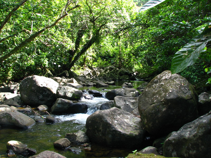 Tavoro-River-Waterfalls-Bouma-Park-Taveuni-Fiji-066