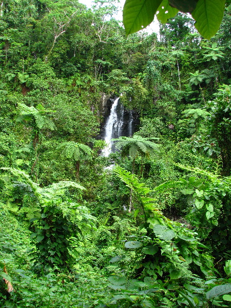 Tavoro-River-Waterfalls-Bouma-Park-Taveuni-Fiji-073
