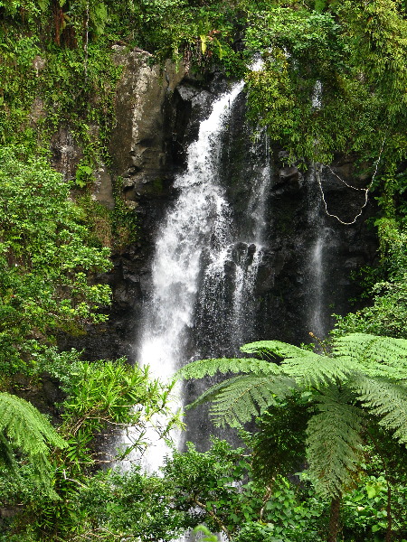 Tavoro-River-Waterfalls-Bouma-Park-Taveuni-Fiji-074