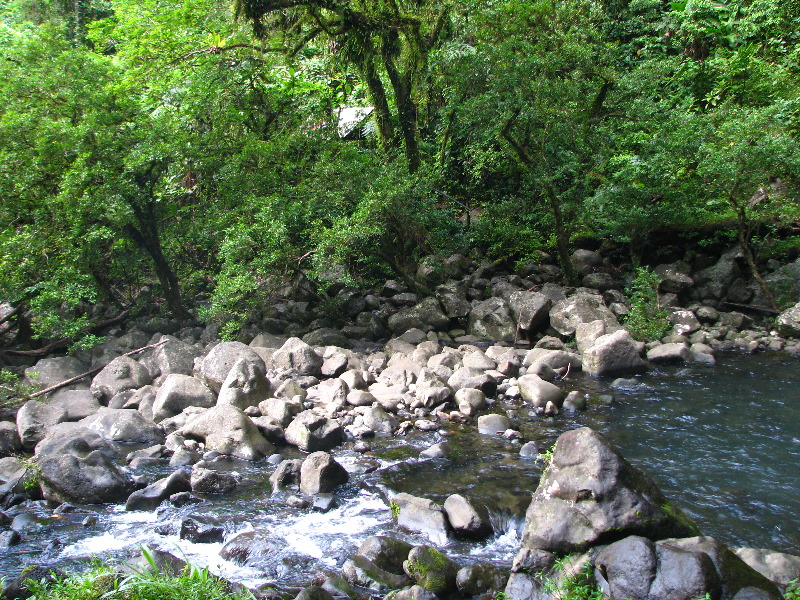 Tavoro-River-Waterfalls-Bouma-Park-Taveuni-Fiji-093