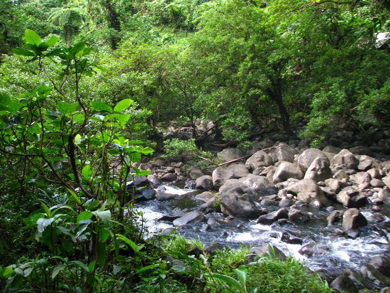 Tavoro-River-Waterfalls-Bouma-Park-Taveuni-Fiji-094
