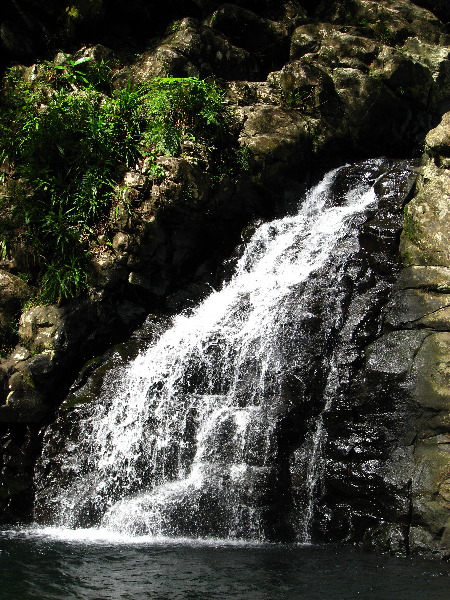 Tavoro-River-Waterfalls-Bouma-Park-Taveuni-Fiji-119