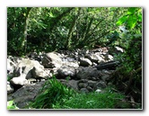 Tavoro-River-Waterfalls-Bouma-Park-Taveuni-Fiji-062