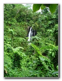 Tavoro-River-Waterfalls-Bouma-Park-Taveuni-Fiji-073