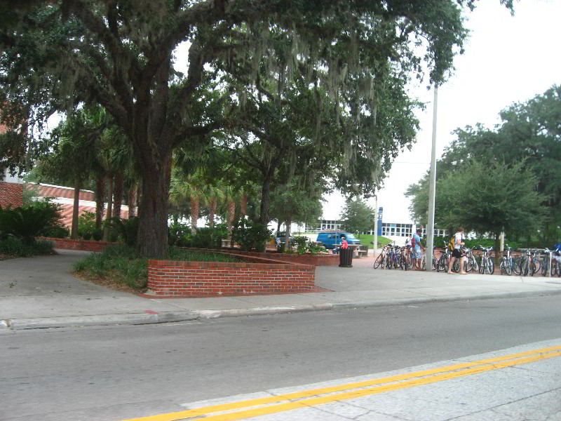 University-of-Florida-Campus-Tour-Gainesville-FL-006