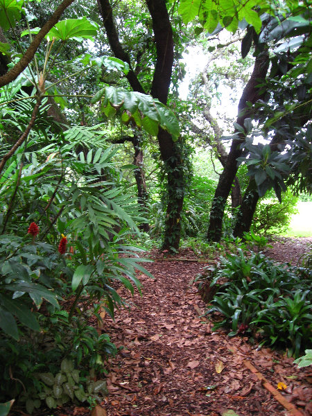 USF-Botanical-Gardens-Tampa-FL-087