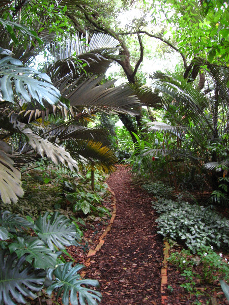 USF-Botanical-Gardens-Tampa-FL-091