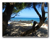 Waialea-Bay-Beach-69-Snorkeling-Kamuela-Big-Island-Hawaii-006
