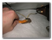 2003-2008-Honda-Pilot-Interior-Door-Panel-Removal-Guide-028