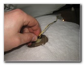 2003-2008-Honda-Pilot-Interior-Door-Panel-Removal-Guide-033