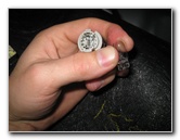 2013-2015-Nissan-Sentra-License-Plate-Light-Bulbs-Replacement-Guide-019