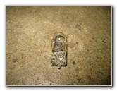 2013-2016-Ford-Fusion-License-Plate-Light-Bulbs-Replacement-Guide-009