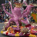 2013 Rose Parade - Pasadena, CA