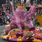 2013 Rose Parade - Pasadena, CA