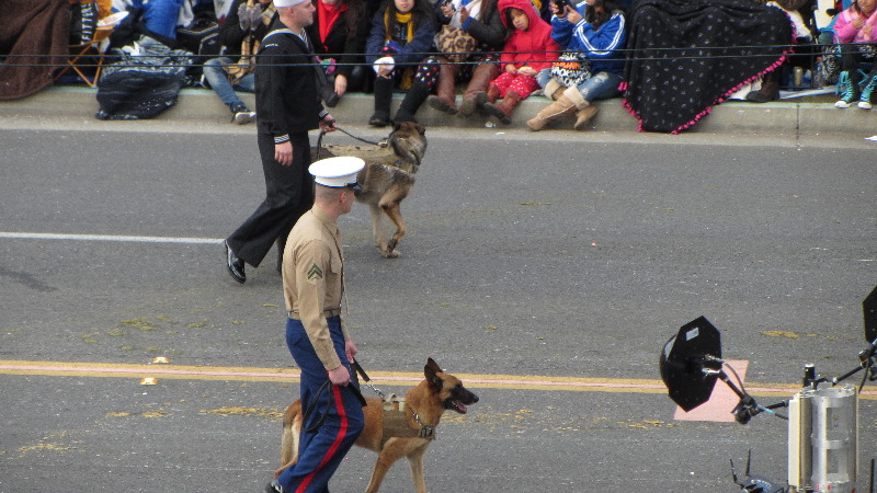 2013-Rose-Parade-Pictures-Pasadena-Los-Angeles-County-CA-069