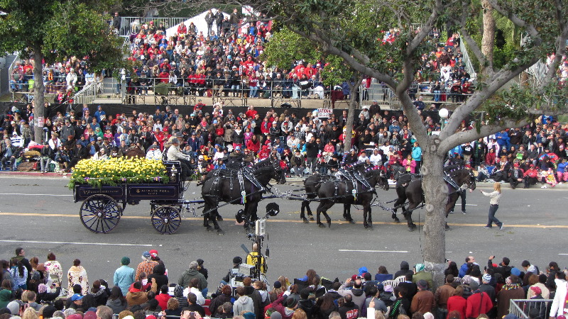 2013-Rose-Parade-Pictures-Pasadena-Los-Angeles-County-CA-094