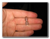 2014-2018-Toyota-Corolla-Headlight-Bulbs-Replacement-Guide-022