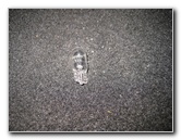 2014-2018-Toyota-Corolla-Map-Light-Bulbs-Replacement-Guide-007