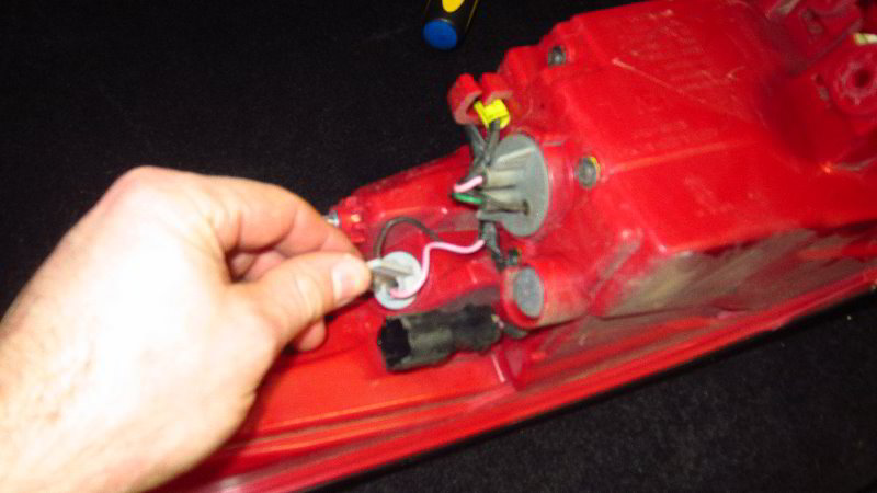 2017-2022-Kia-Sportage-Tail-Light-Bulbs-Replacement-Guide-013