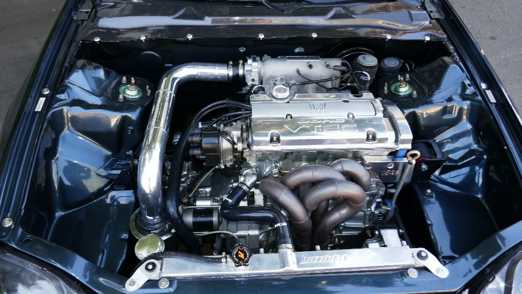 2019-Hot-Import-Nights-Los-Angeles-CA-131