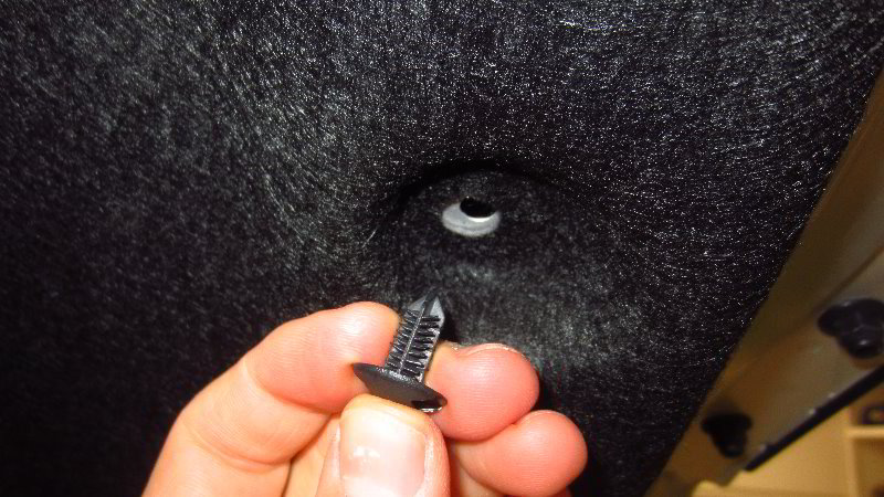 2020-Toyota-Corolla-Reverse-Light-Bulbs-Replacement-Guide-015