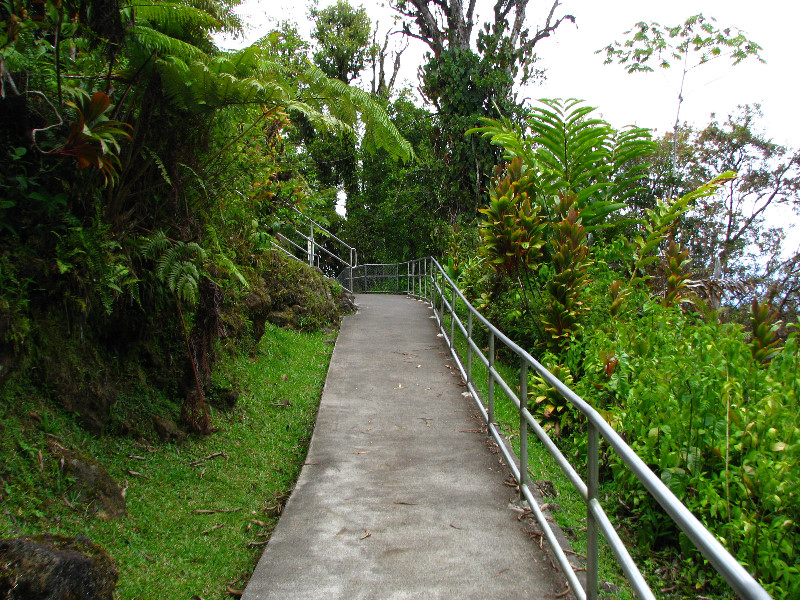 Akaka-Falls-State-Park-Honomu-Big-Island-Hawaii-008