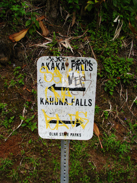 Akaka-Falls-State-Park-Honomu-Big-Island-Hawaii-011