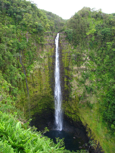 Akaka-Falls-State-Park-Honomu-Big-Island-Hawaii-012